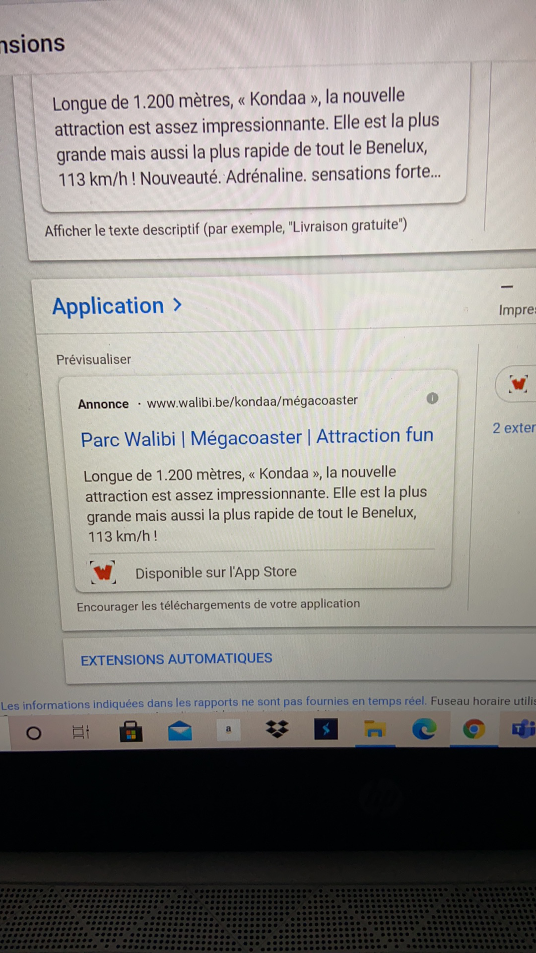 Walibi Google Ads